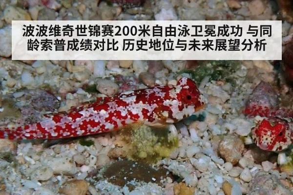 波波维奇世锦赛200米自由泳卫冕成功 与同龄索普成绩对比 历史地位与未来展望分析